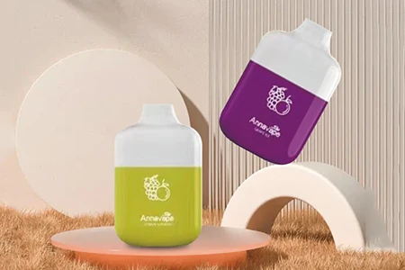 Shenzhen Blue Sky Electronic Technology Co., LTD